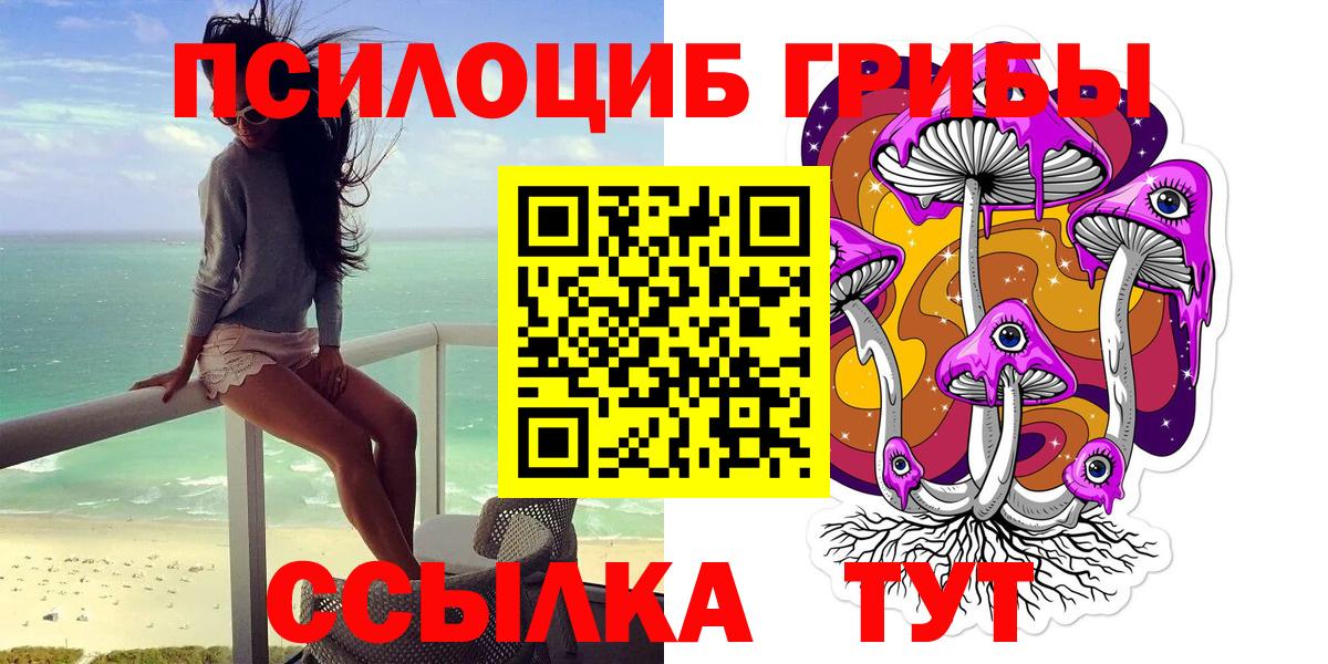 Галлюциногенные грибы Psilocybe Семилуки