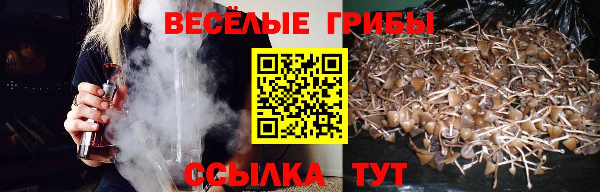Семилуки  Галлюциногенные грибы GOLDEN TEACHER  Галлюциногенные грибы прущие грибы  Вход с VPN 